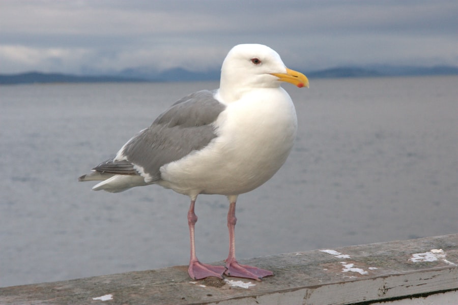 Photo Unique individual