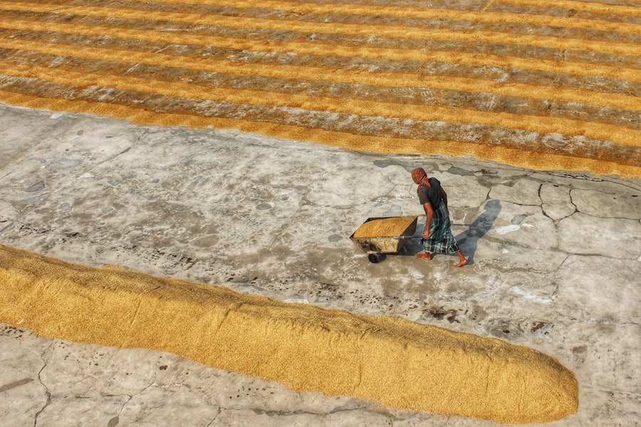 Photo Struggling farmer